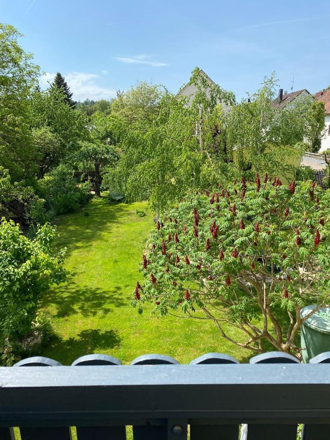 Ferienwohnung Zur Roni Treuchtlingen Bagian luar foto