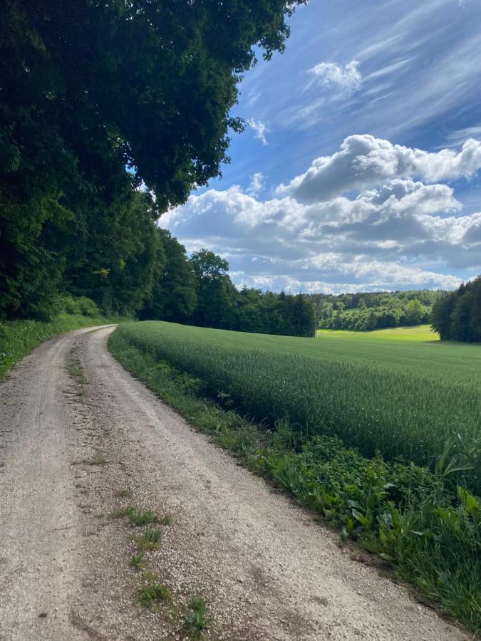 Ferienwohnung Zur Roni Treuchtlingen Bagian luar foto