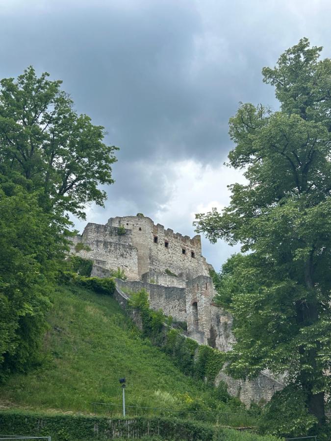 Ferienwohnung Zur Roni Treuchtlingen Bagian luar foto