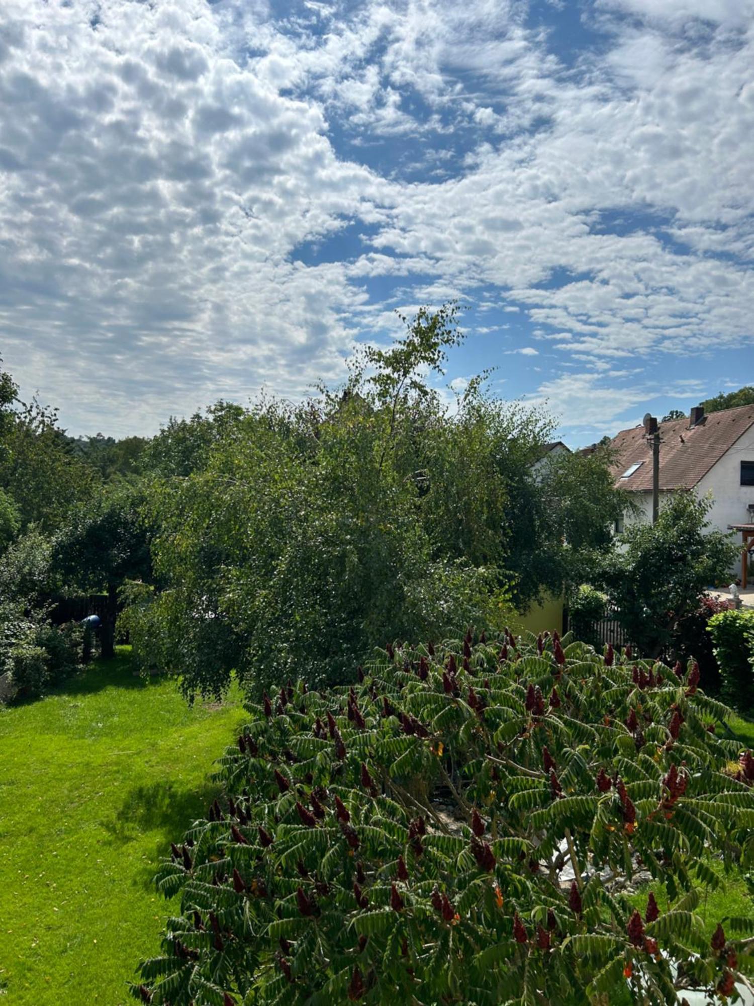 Ferienwohnung Zur Roni Treuchtlingen Bagian luar foto
